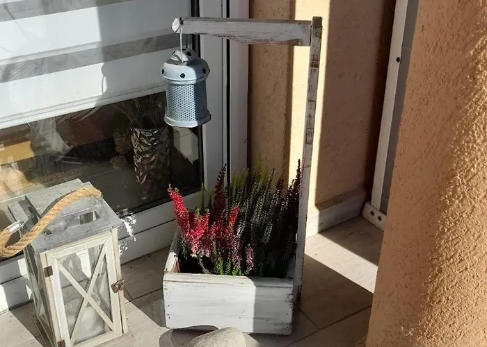 Apartment Chill And Relax